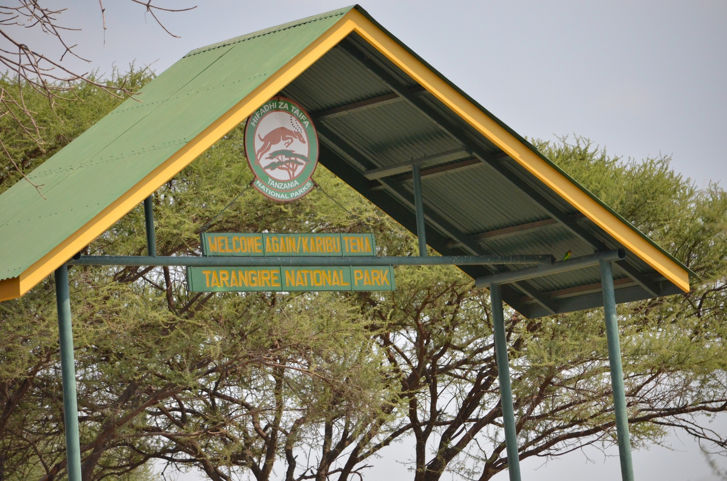 Welcome again / Karibu Tena
Tarangire National Park